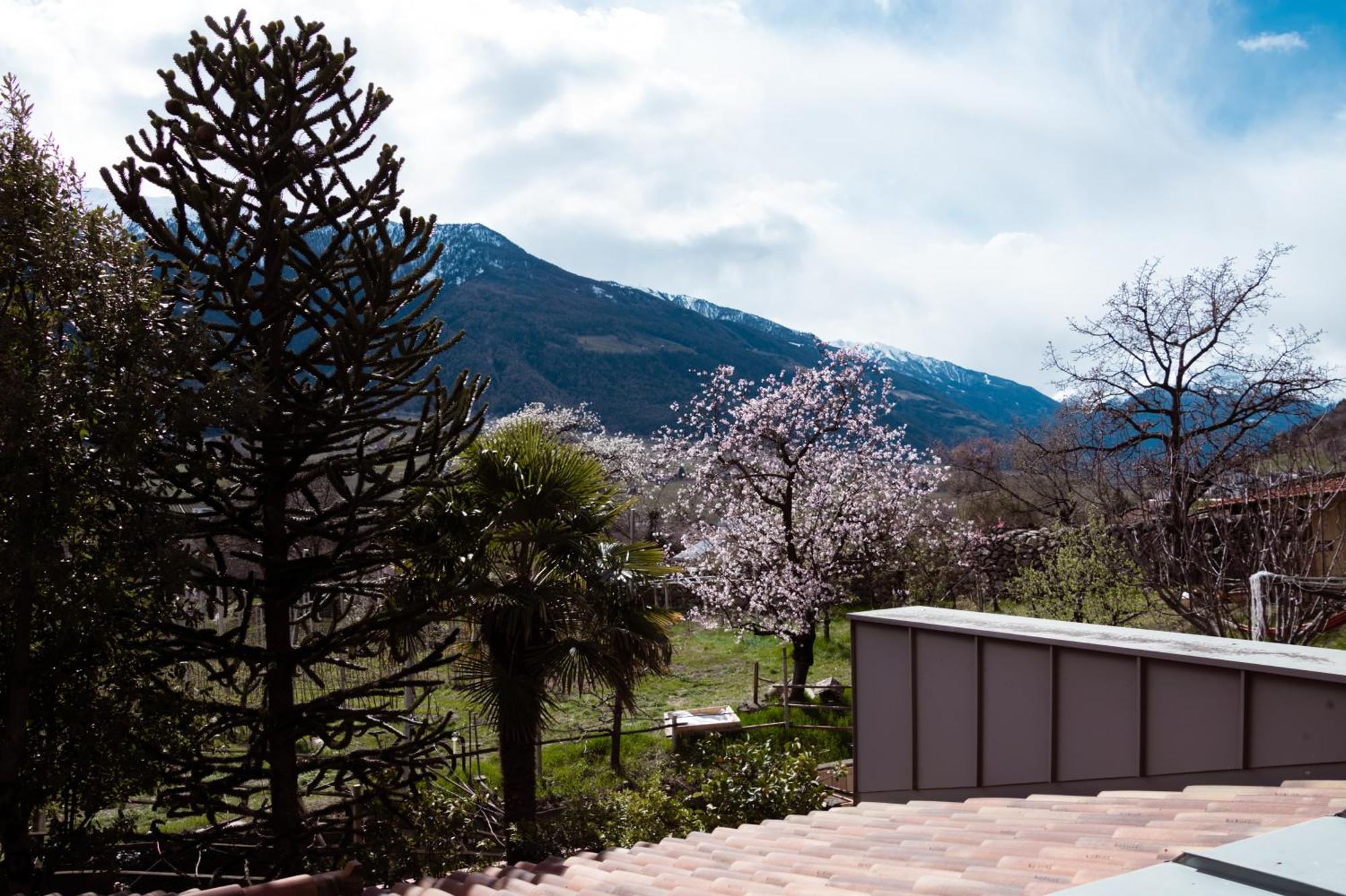 Bed and Breakfast Garni Unterwegguetl Naturns Exterior foto