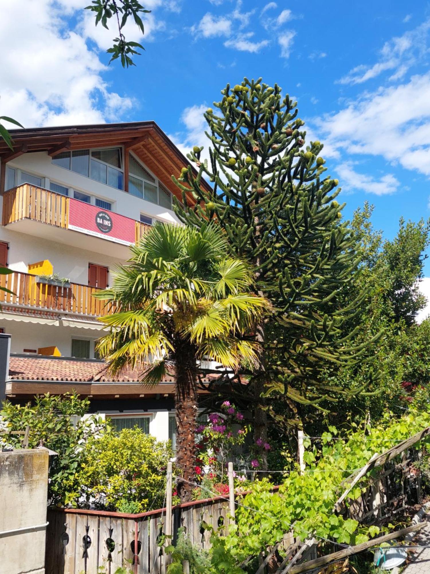 Bed and Breakfast Garni Unterwegguetl Naturns Exterior foto
