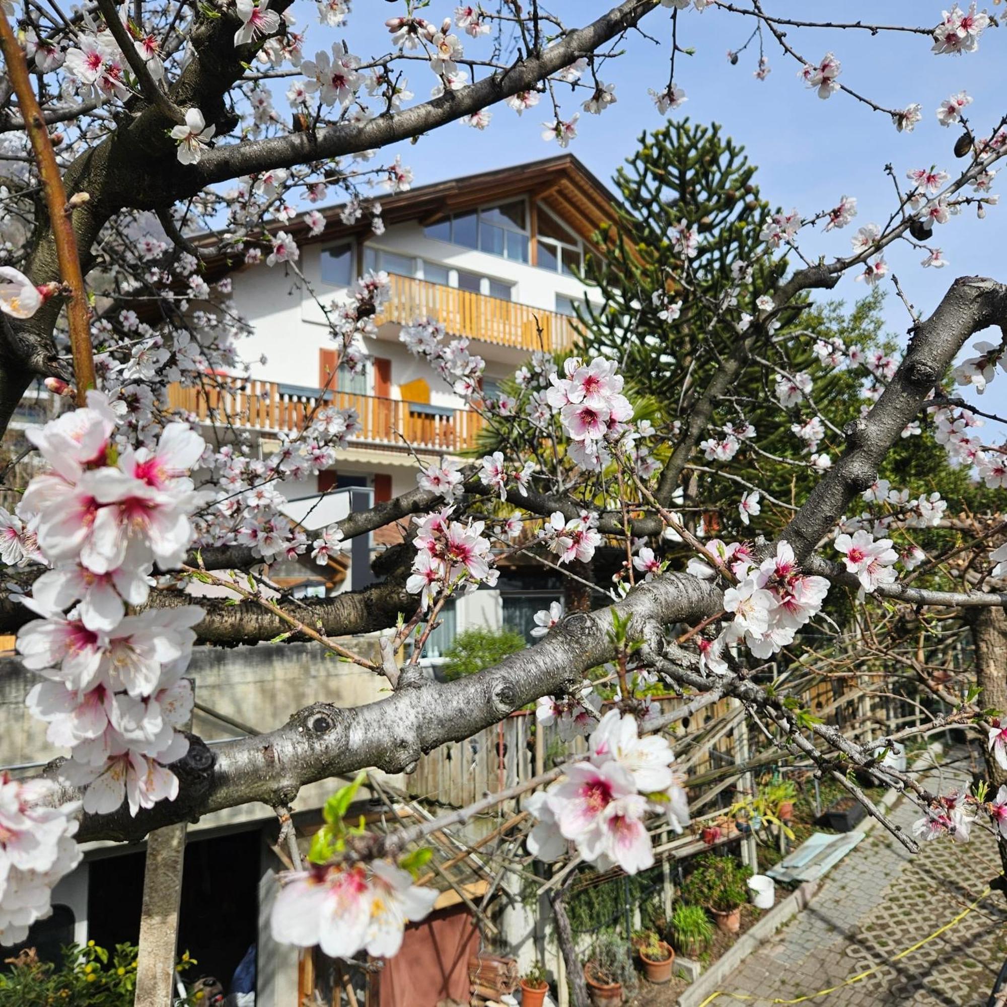 Bed and Breakfast Garni Unterwegguetl Naturns Exterior foto
